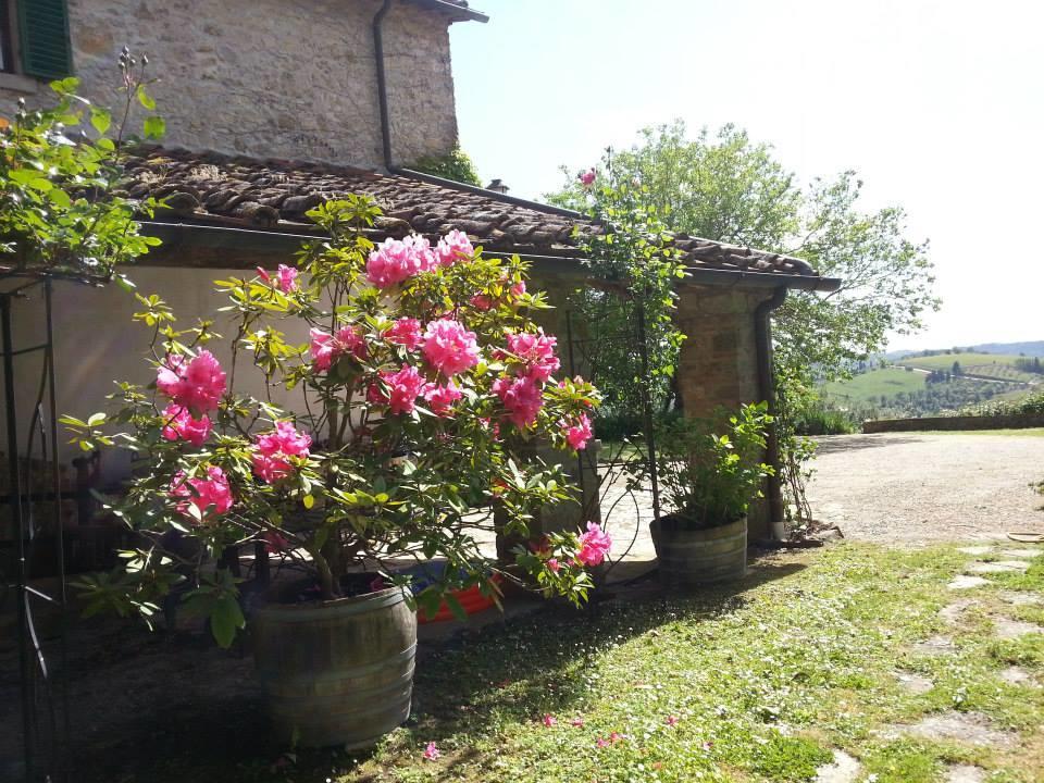 Agriturismo Lupinati Hotel Figline Valdarno Zewnętrze zdjęcie